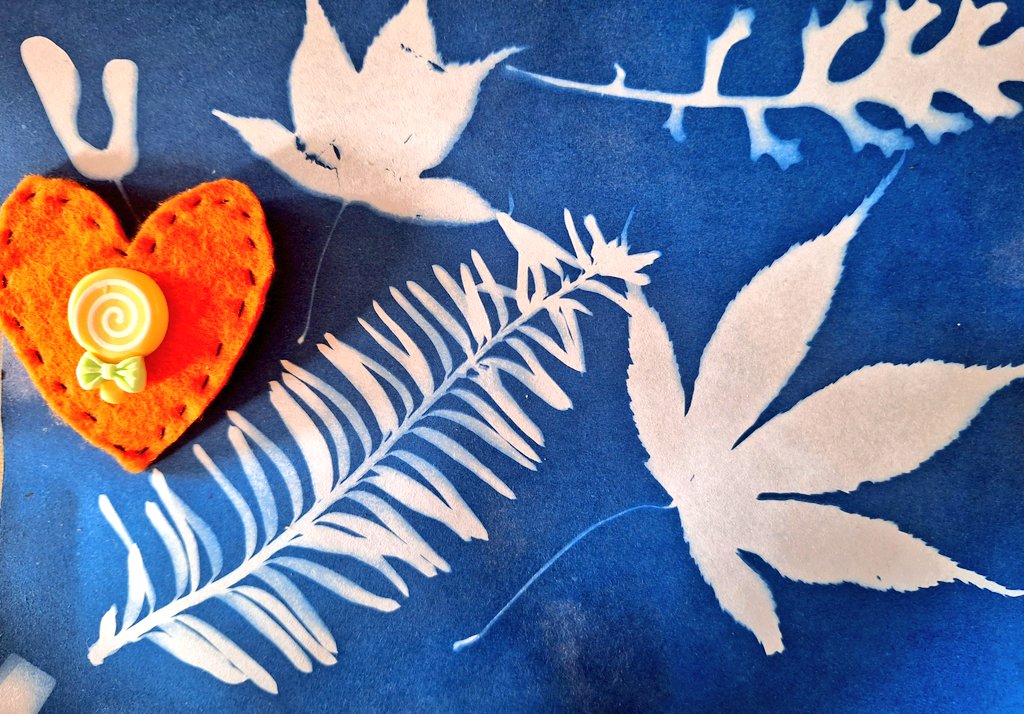 William Powell🔶🏴 tweet media