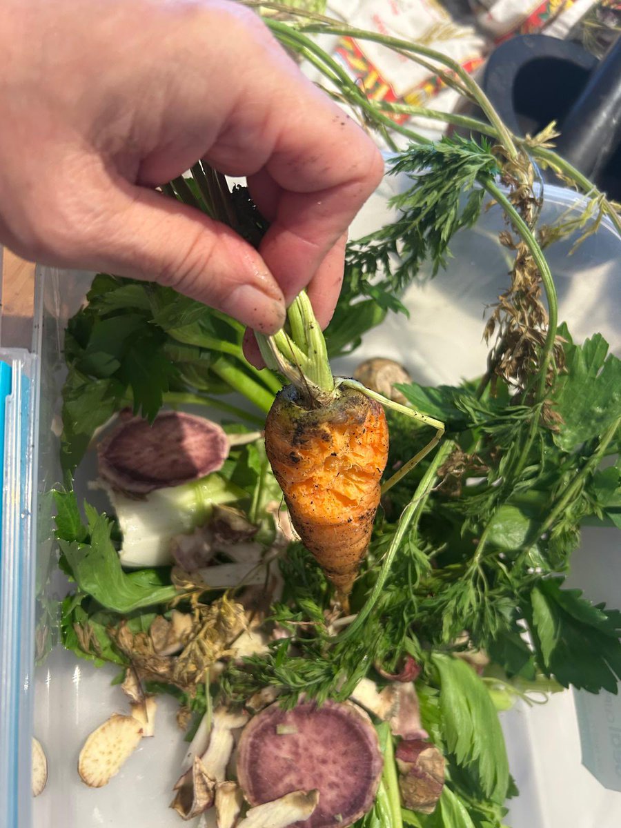 JimmyBarnes's tweet image. Jane & I have been able to spend over 2 weeks at home. It’s been such a needed restful time for me. We’ve been eating a lot of what we grow, but there’s a critter eating our carrots. Jane’s baking sourdough loaves everyday…it used to be my job, but of course she’s great at it.…