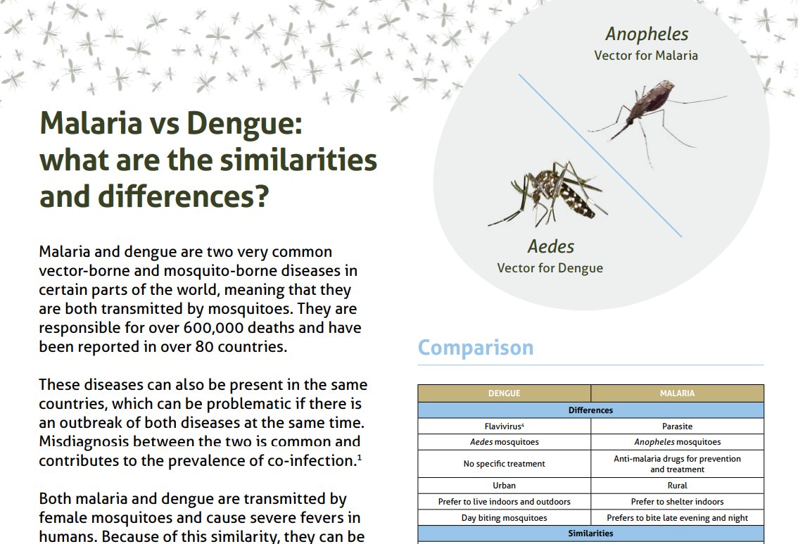 TargetMalaria's tweet image. #Dengue vs #Malaria: can you tell the difference?
Dengue and malaria are two very different diseases caused by different pathogens and different mosquito species.
Aedes mosquitoes transmit dengue and Anopheles mosquitoes transmit malaria 🌍
Read more in the factsheet:…