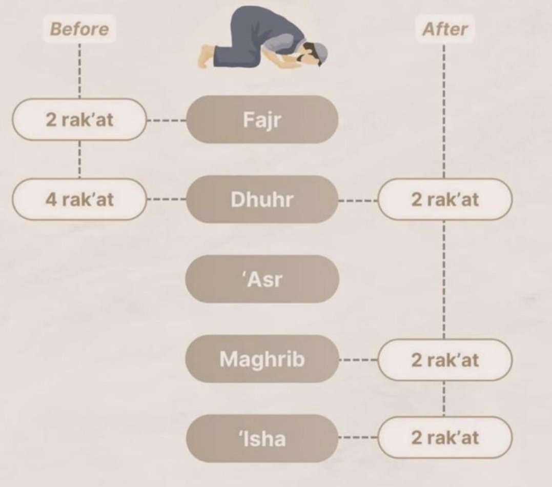 The Messenger of Allah ﷺ said:

He who observed twelve voluntary rak'ahs, a house will be built for him in Paradise.

📚 Sahih Muslim 728b