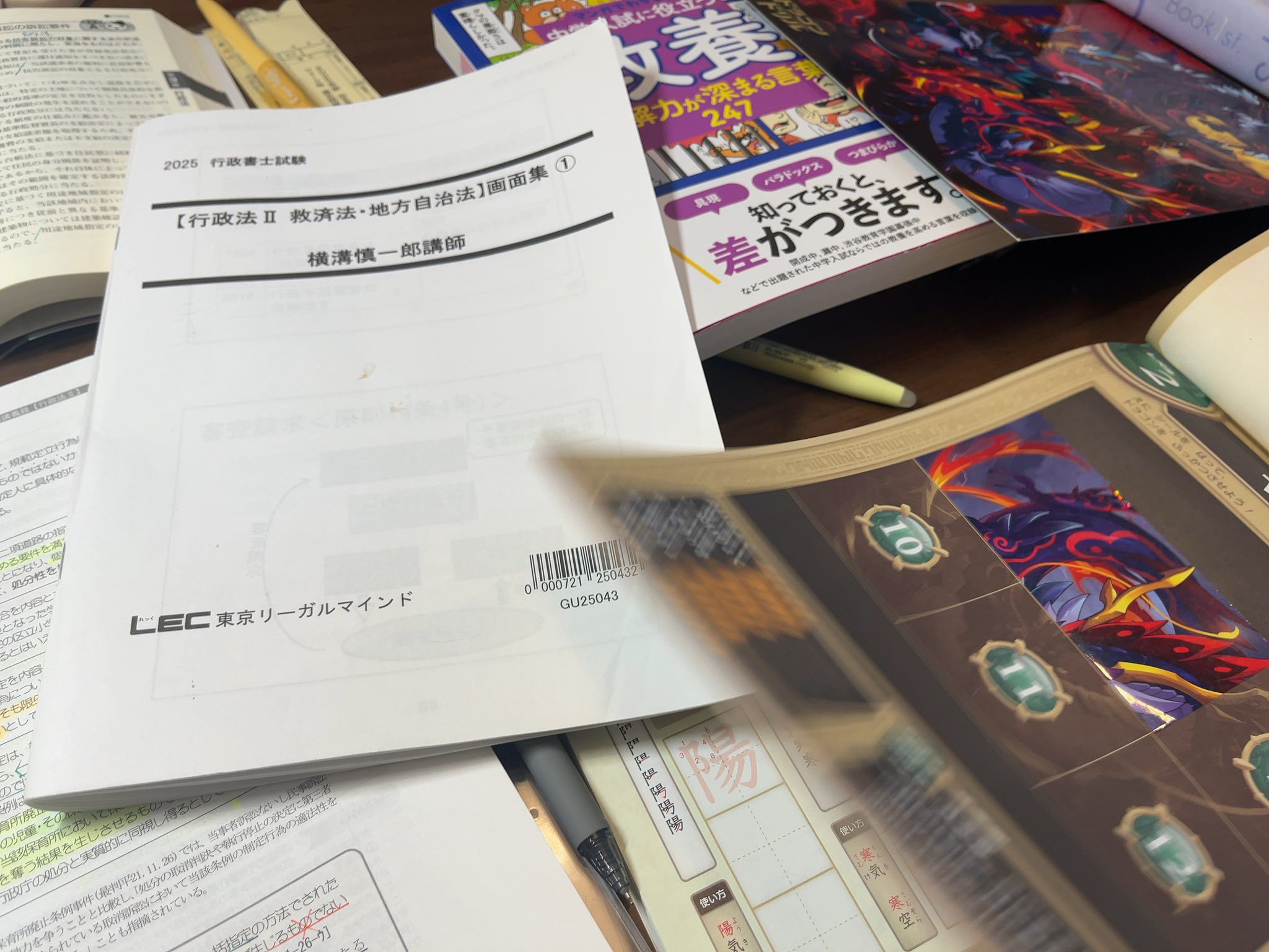 2025年行政書士　ちゅこらさん専用 2025年行政書士 ちゅこらさん専用
