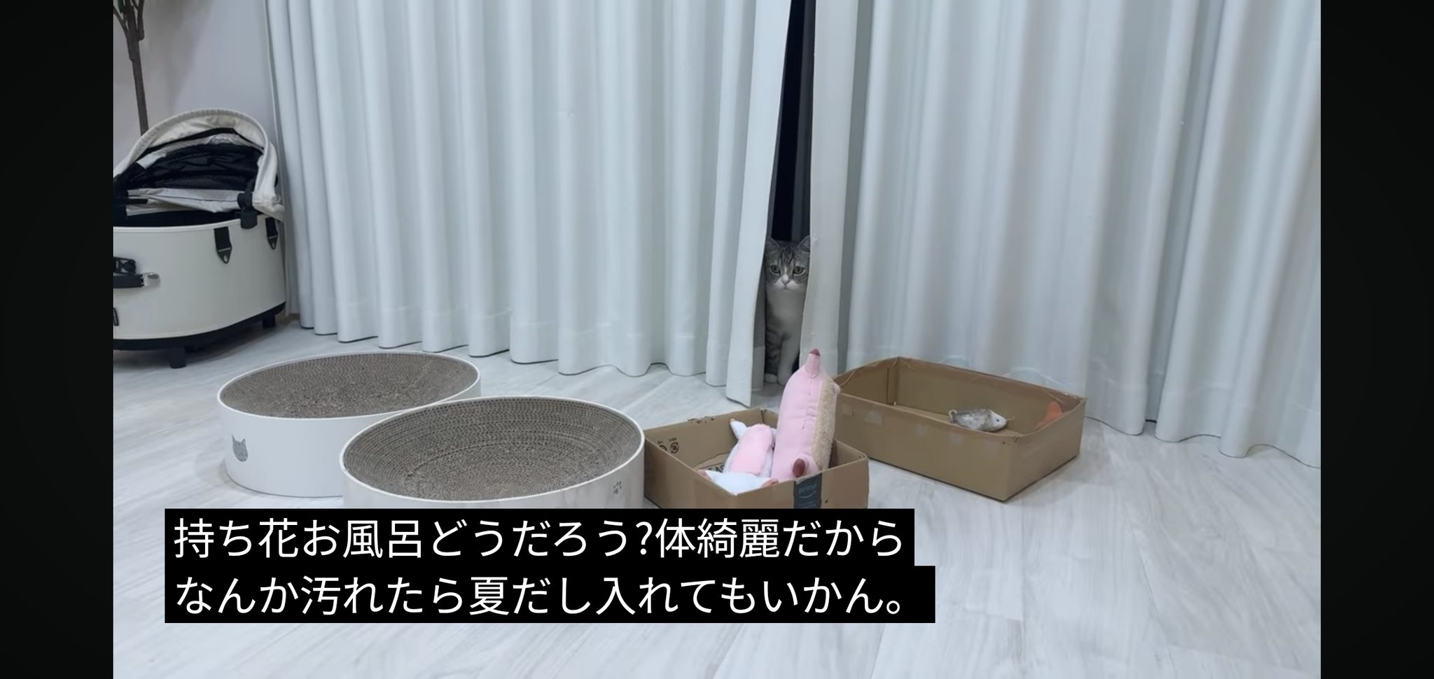 もちさま専用ページ フォウ (@EMs5B5rXk3nxWbS) / X