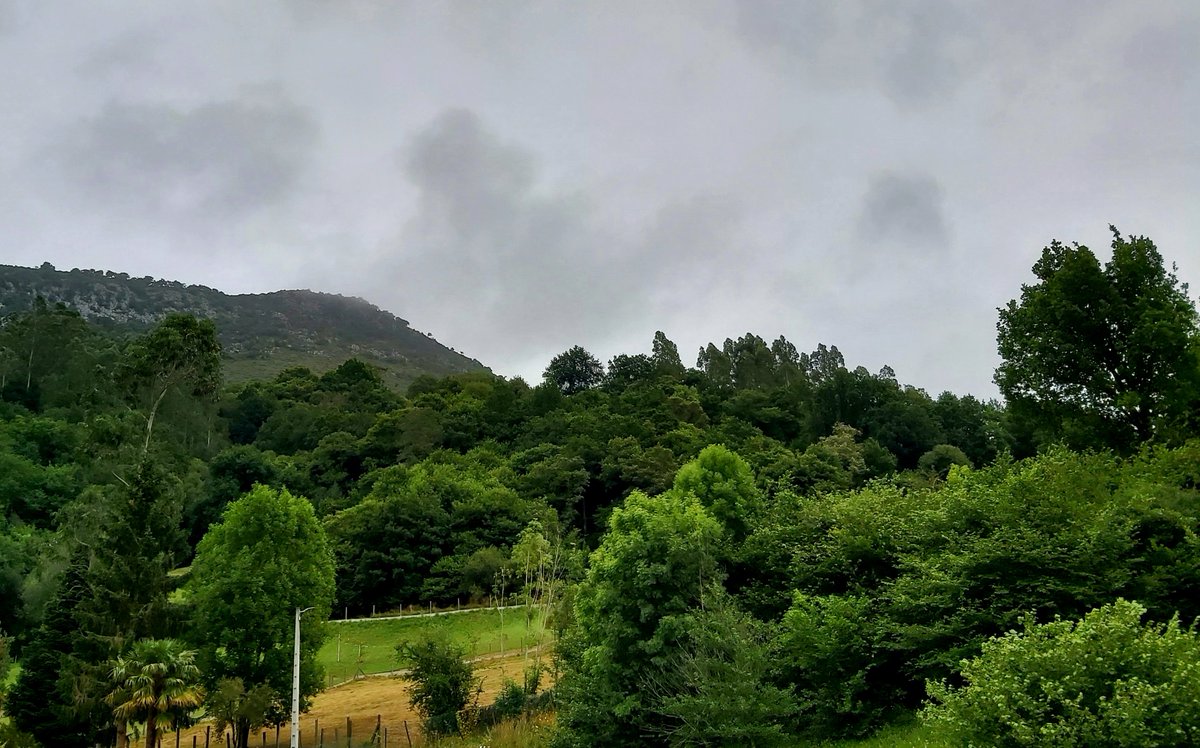 ¡ Muy Bello Día Mundo !
Y magnífico inicio de semana que con él inicia.
Como veis aquí en #Puentenansa lo hace vestido de Gris, con Viento de NOeste alentando, fresquito, 18°, Ideal 🤗.
Mi Hada, por siempre jamás en mi Corazón y yo Os Saludamos,
Alegría y Sed Muy Felices...🧚‍♂️🕶