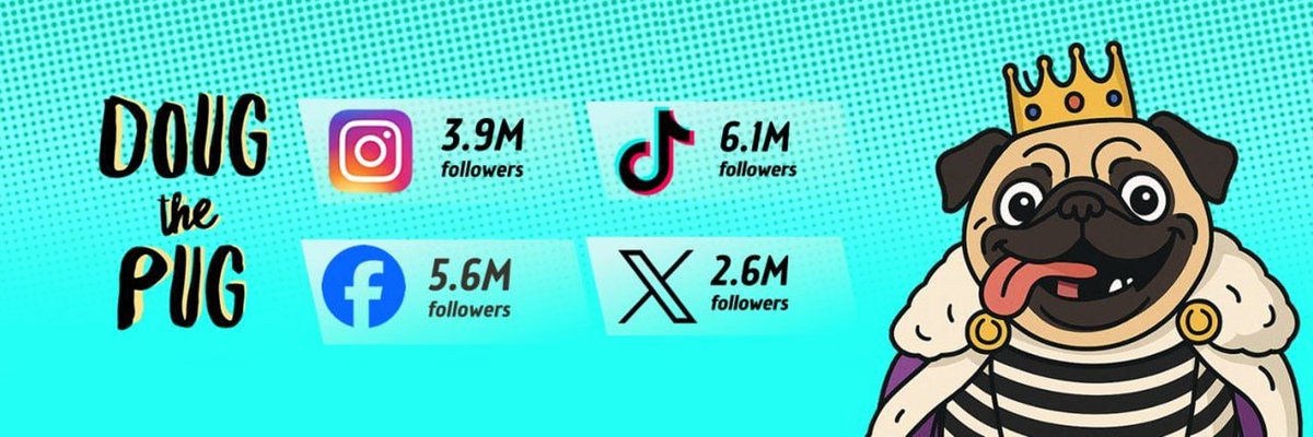 0xPokAlpha's tweet image. 🐶Doug The Pug  $DOUG  | @Dougerc20

CA: 0xe298fb7da23231ea3e40145371e9b8e5bdd26265

&quot;THE KING OF POP CULTURE&quot; and  &quot;KING OF THE INTERNET&quot;

The Ultimate Story of $DOUG 
🦴2018: Named the 2nd Most Influential Pet by Forbes
🦴2019 &amp;amp; 2020: Won People&apos;s Choice Awards for Animal Star…