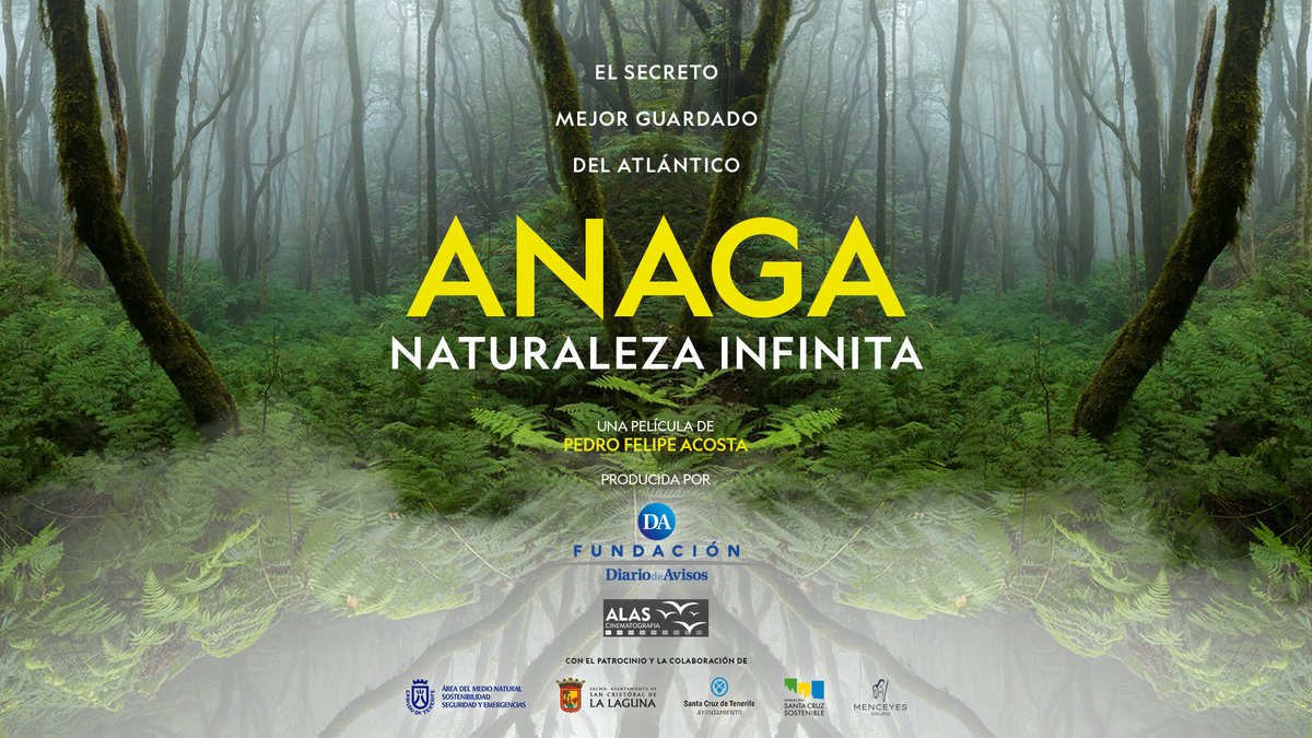 🟡La #RedHotelesCreativos y <a href="/fundaciondiario/">Fundación Diario de Avisos</a> llevan al <a href="/hoteltigaiga/">Hotel Tigaiga</a> la proyección de 'Anaga, naturaleza infinita' ➕tertulia con Pedro Felipe Acosta y Priscila Glez.
📆17/7
⏰19:30
📝Incripción gratuita, aforo limitado 👇hotelescreativos.es/tenerife-hotel…

#innovaciónAshotel