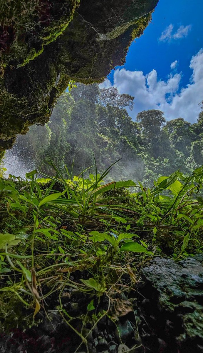 kenyapics's tweet photo. The view https://t.co/VPFkdqVp7j