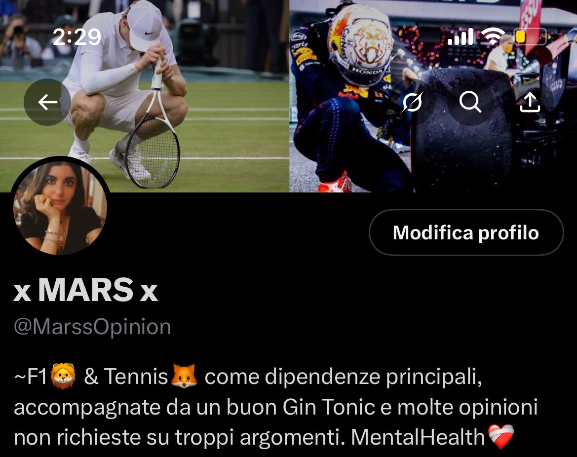 MarssOpinion's tweet image. Due dei momenti sportivi più emozionanti della mia vita, era giusto fossero in cima al mio profilo❤️
#Sinner 🦊 & #Verstappen 🦁