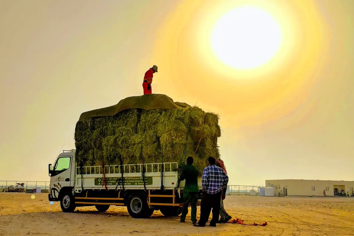 ILOAfrica's tweet image. 🌡️ The world is heating up, and workers are on the front lines.
🚨 Heat stress can impact workers on the job, leading to illnesses such as heat exhaustion, heatstroke, and even death.
🔥 #Africa faces the highest share of heat-related work injuries (7.2%), with 93% of its…