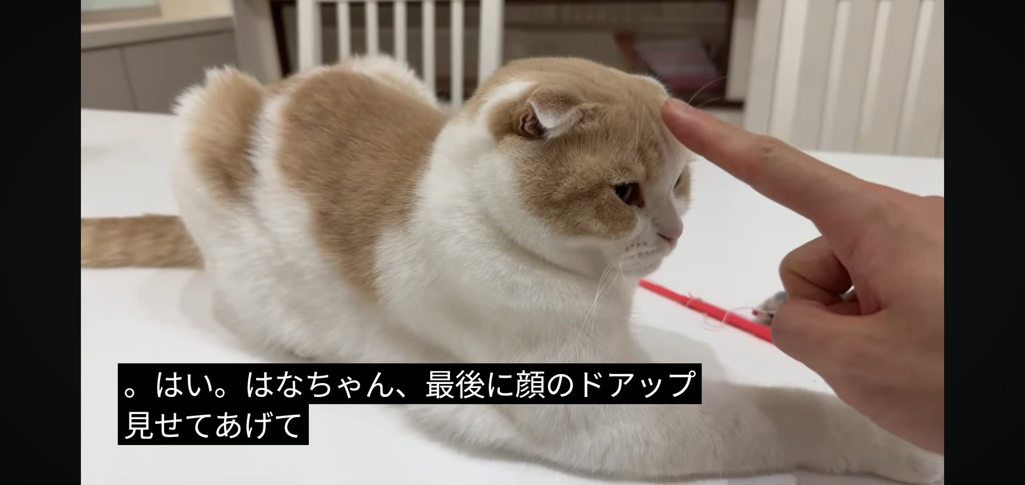 モチマルページ スーパーマルチ8 | ぺんてる株式会社