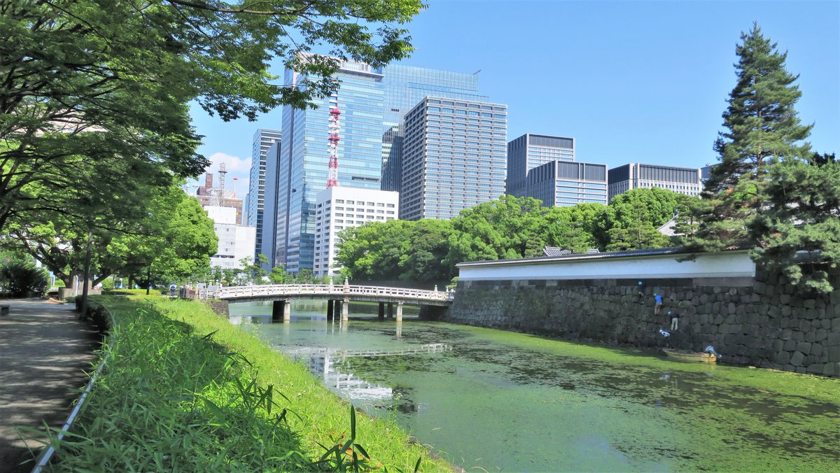 Tokyonobo (@tokyonobo) on Twitter photo Modern-day ninjas are climbing the stone walls of the Imperial Palace moat. What do you think they're doing? Modern-day ninjas are climbing the stone walls of the Imperial Palace moat. What do you think they're doing?