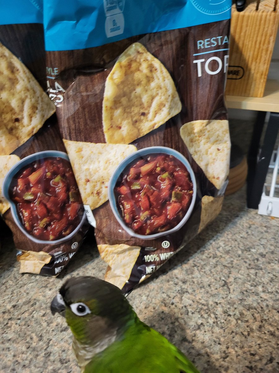 PepperNPals's tweet image. Human, what magic is this?