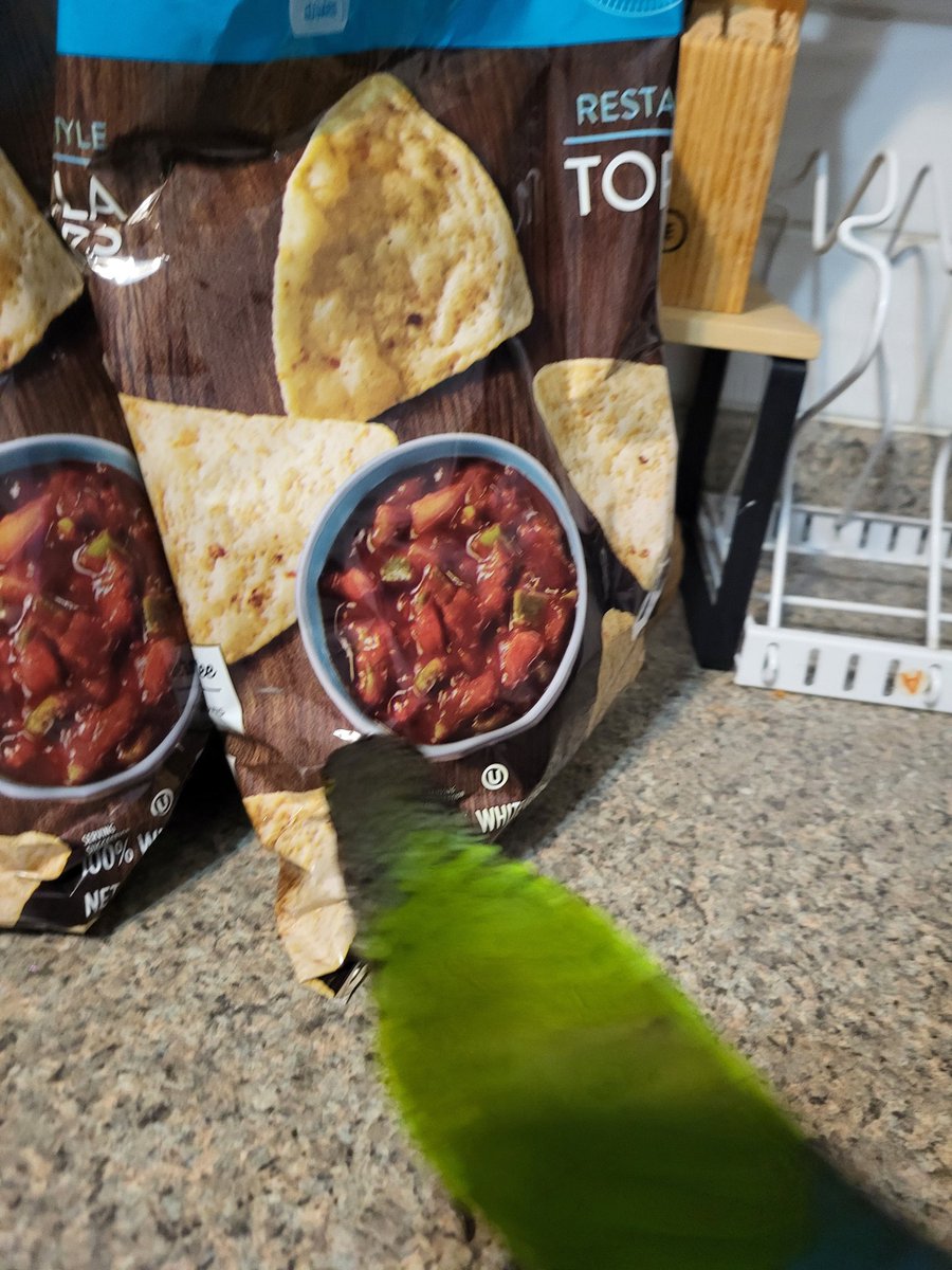 PepperNPals's tweet image. Human, what magic is this?