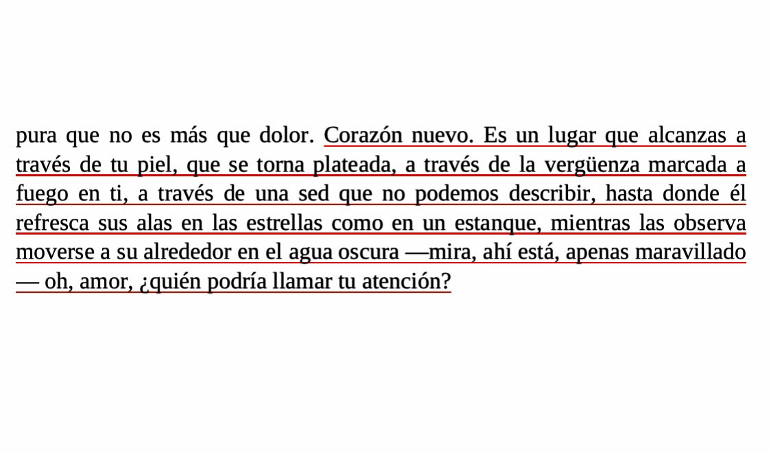 anne carson 🤍