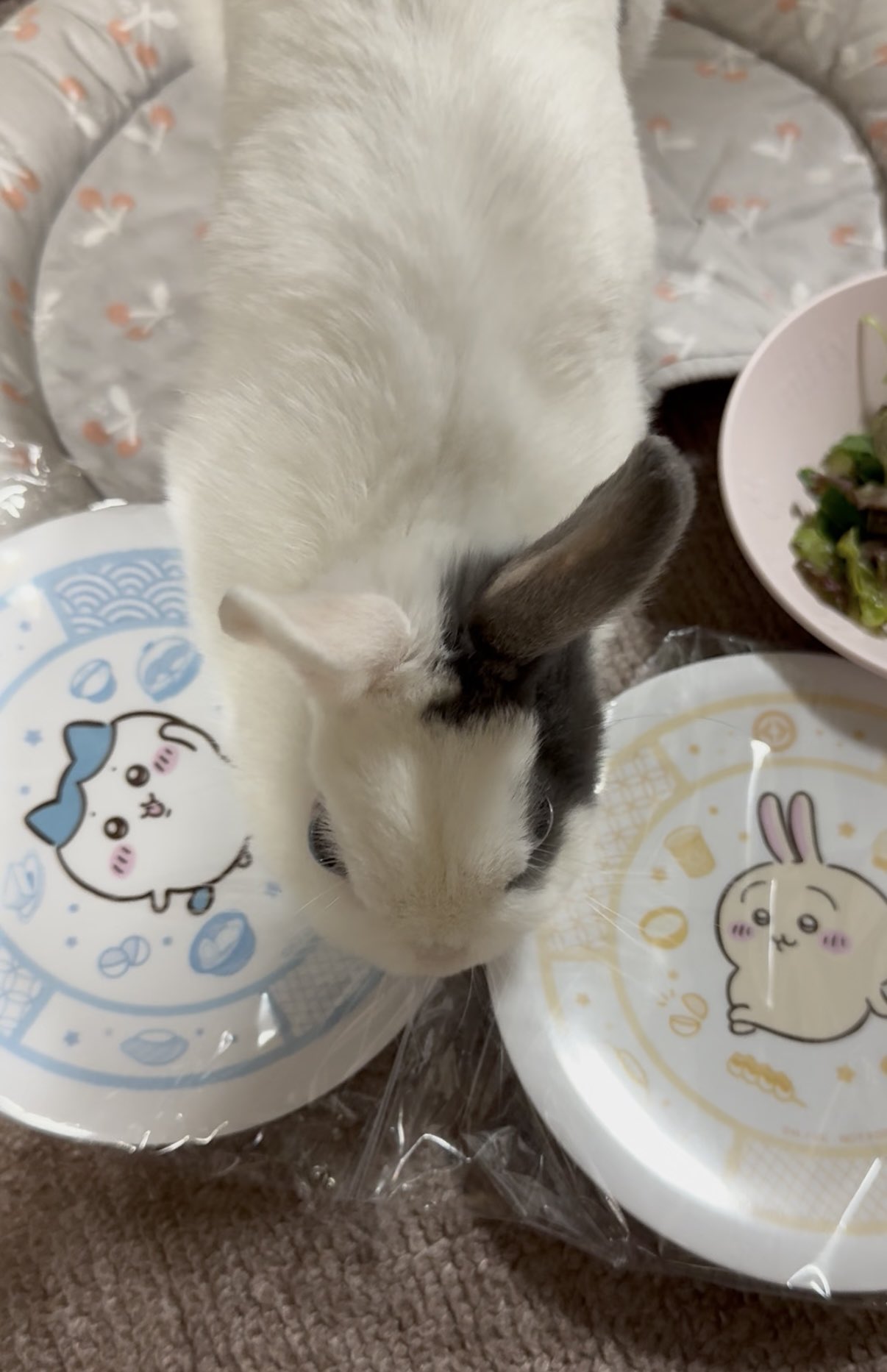 うさ様♡専用 うさうさ🍒(ｵｼｬﾚな模様うたちゃん) on X: 