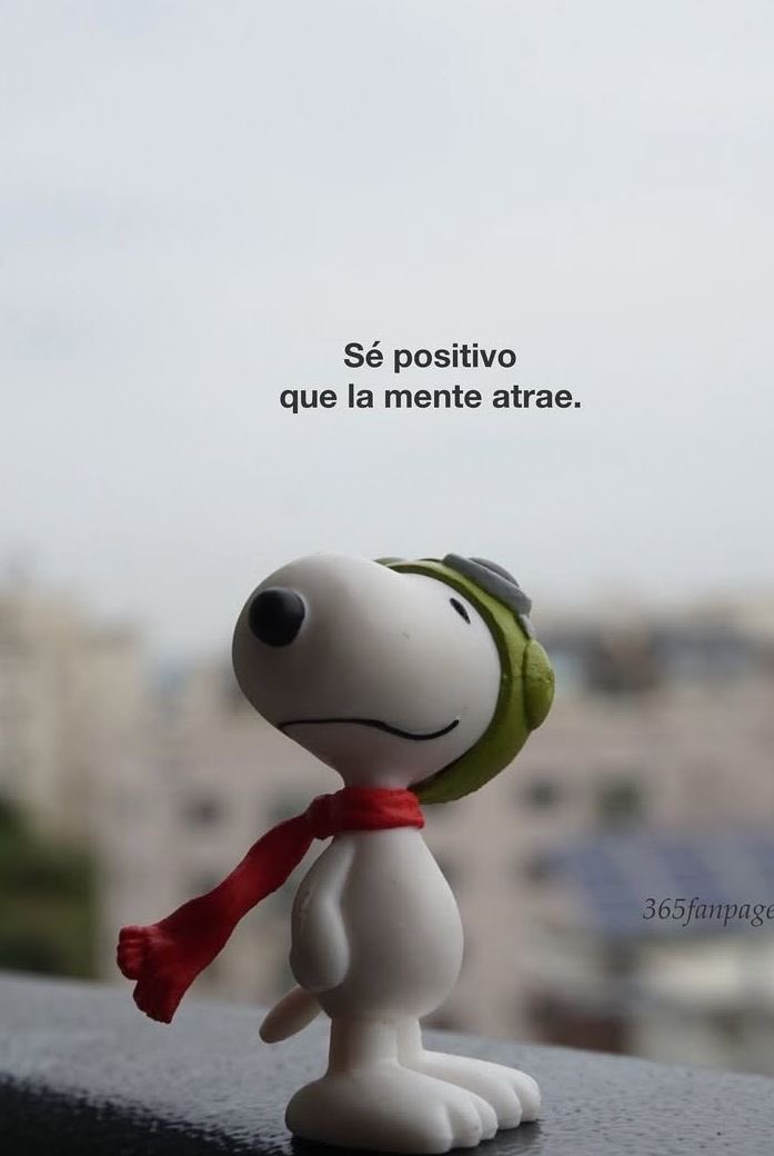 Pensamientos (@frasesimple) on Twitter photo 