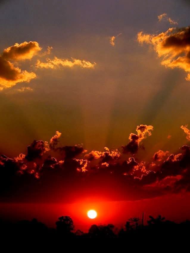 🌻 Karla Mata🌻 (@karla_mata5) on Twitter photo 
