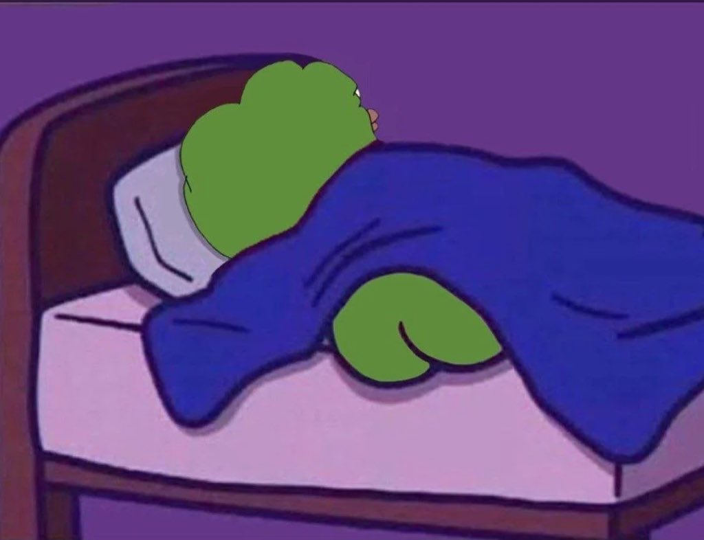 emperorpeppe's tweet image. Good night frens 😴