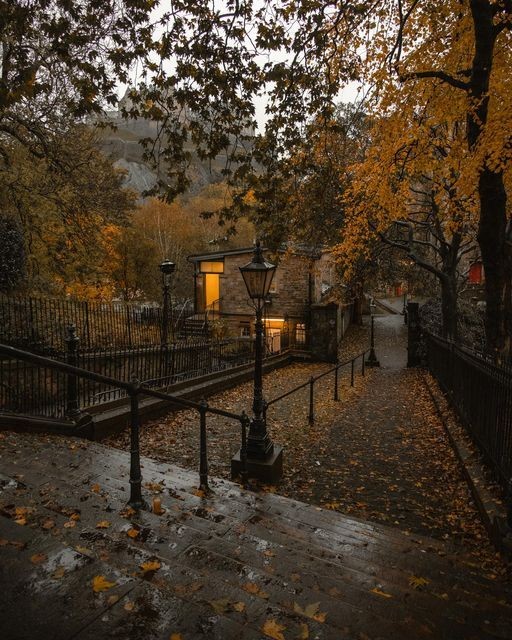 your daily reminder that next season is autumn 🎃