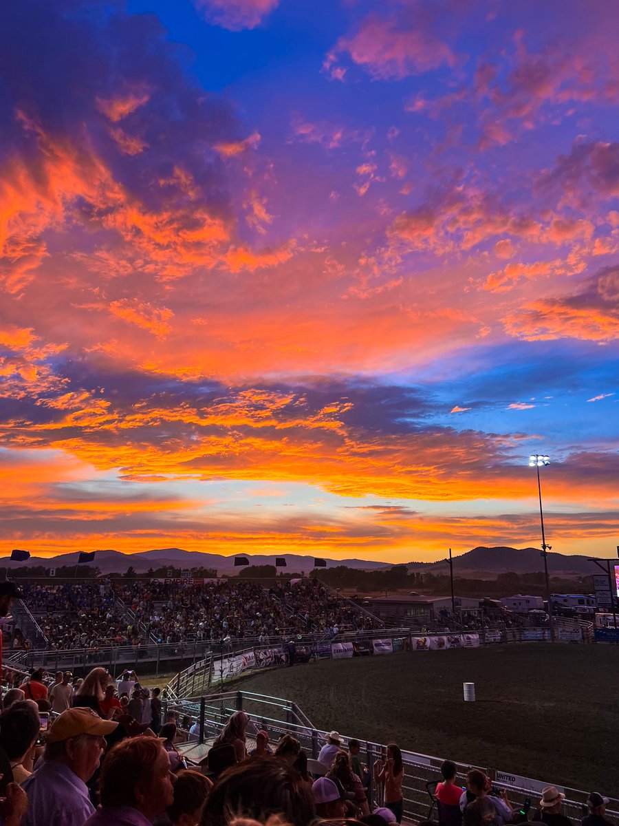 Montana rodeo nights >>