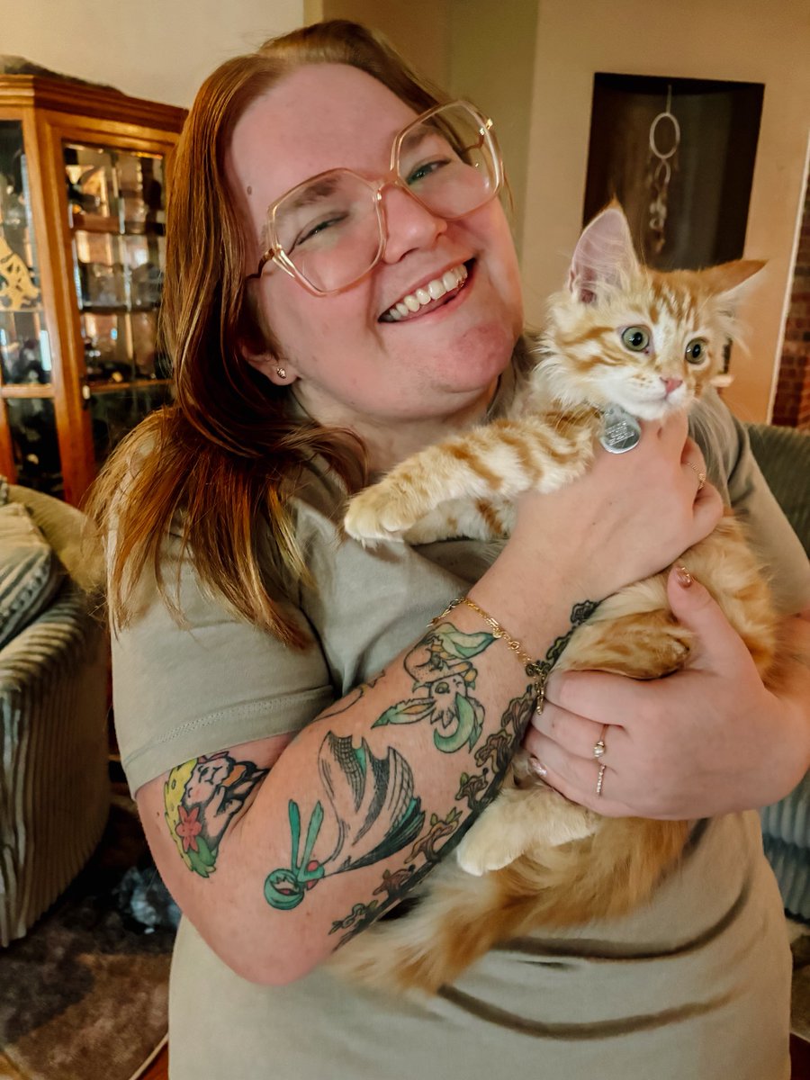 to be honest, i would say preparing my house for a kitten definitely counts as completing a house project. meet toulouse, aka louie, aka my new baby boy! #exleytweets #exleysummer25