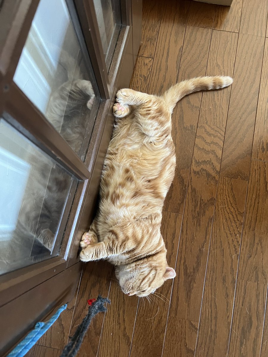 おはようございます
まめ太郎の裏側