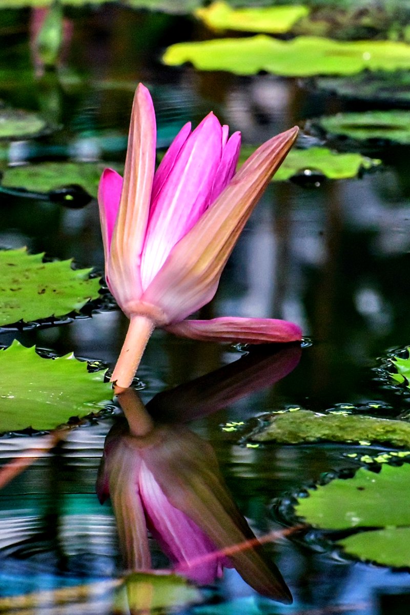 視る意識を変えるだけで
隠された美しい世界が
見えてくるのだとしたら