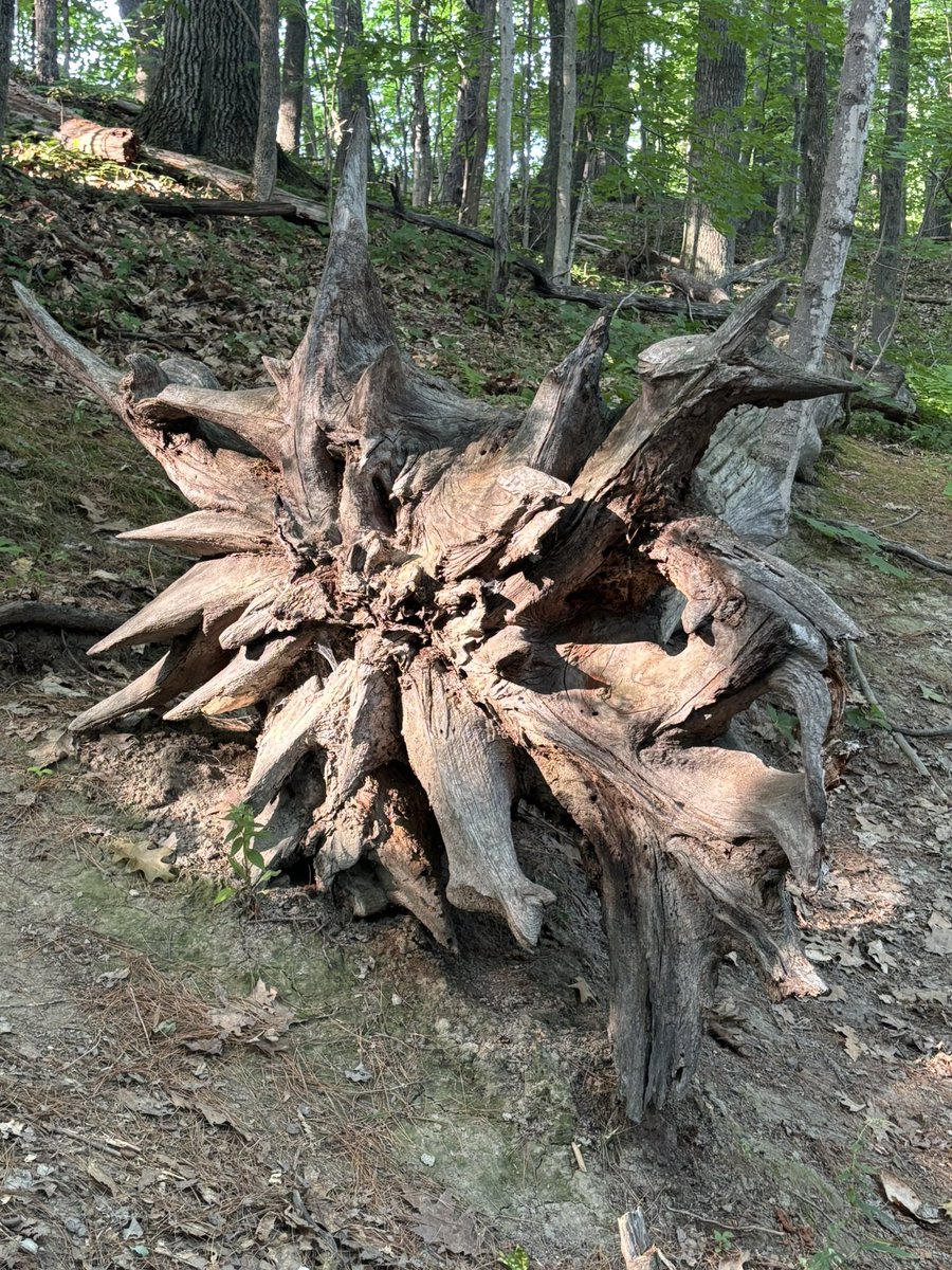 MrsVinKinder's tweet image. Away for one more night for a kindergarten training and making the best of it! Went for a hike after and went for dinner in a super cute town!
Still some books left if anyone wants to help me #clearthelist before school starts! Please RT if you would! 💙
amazon.com/hz/wishlist/ls…