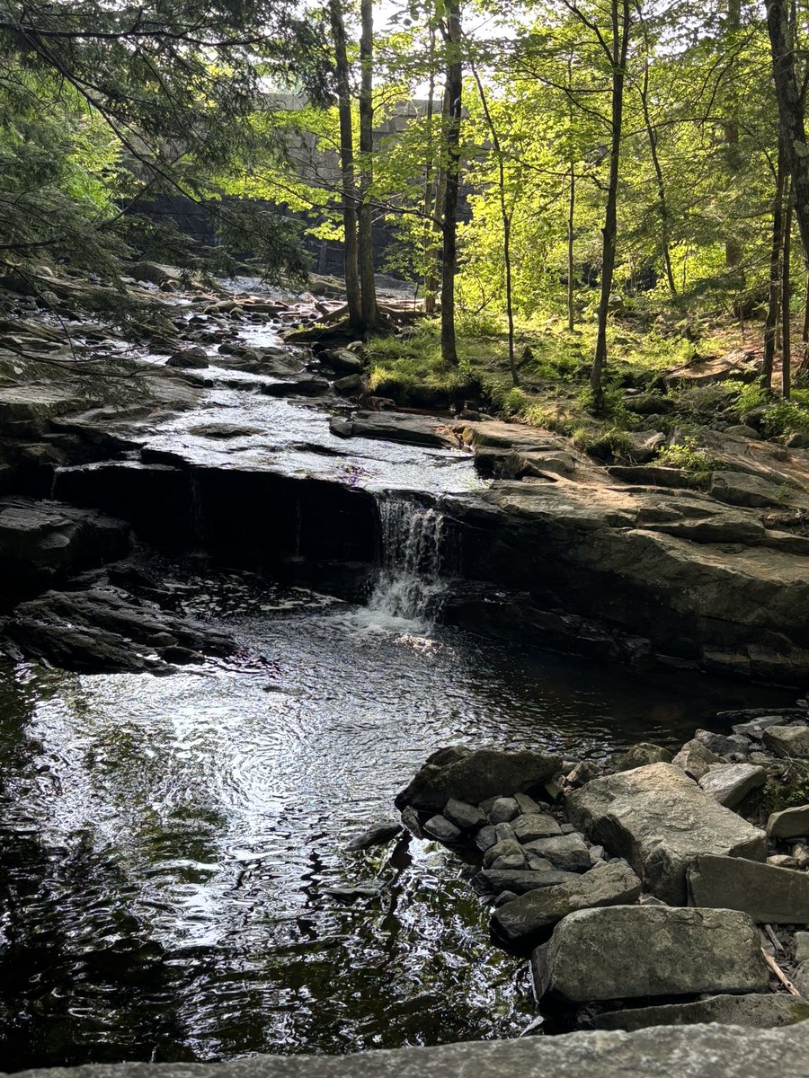 MrsVinKinder's tweet image. Away for one more night for a kindergarten training and making the best of it! Went for a hike after and went for dinner in a super cute town!
Still some books left if anyone wants to help me #clearthelist before school starts! Please RT if you would! 💙
amazon.com/hz/wishlist/ls…