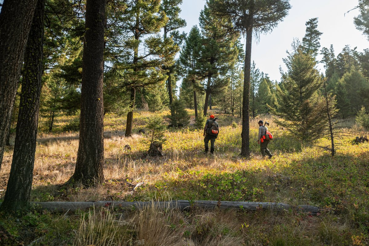 Who’s ready to cut them loose? 

Hunting season is on the horizon. Around here we are getting excited about where our fall adventures will take us, and we know you are too. For many, the season kicks off chasing birds across the west. Stay tuned over the next month as we have a