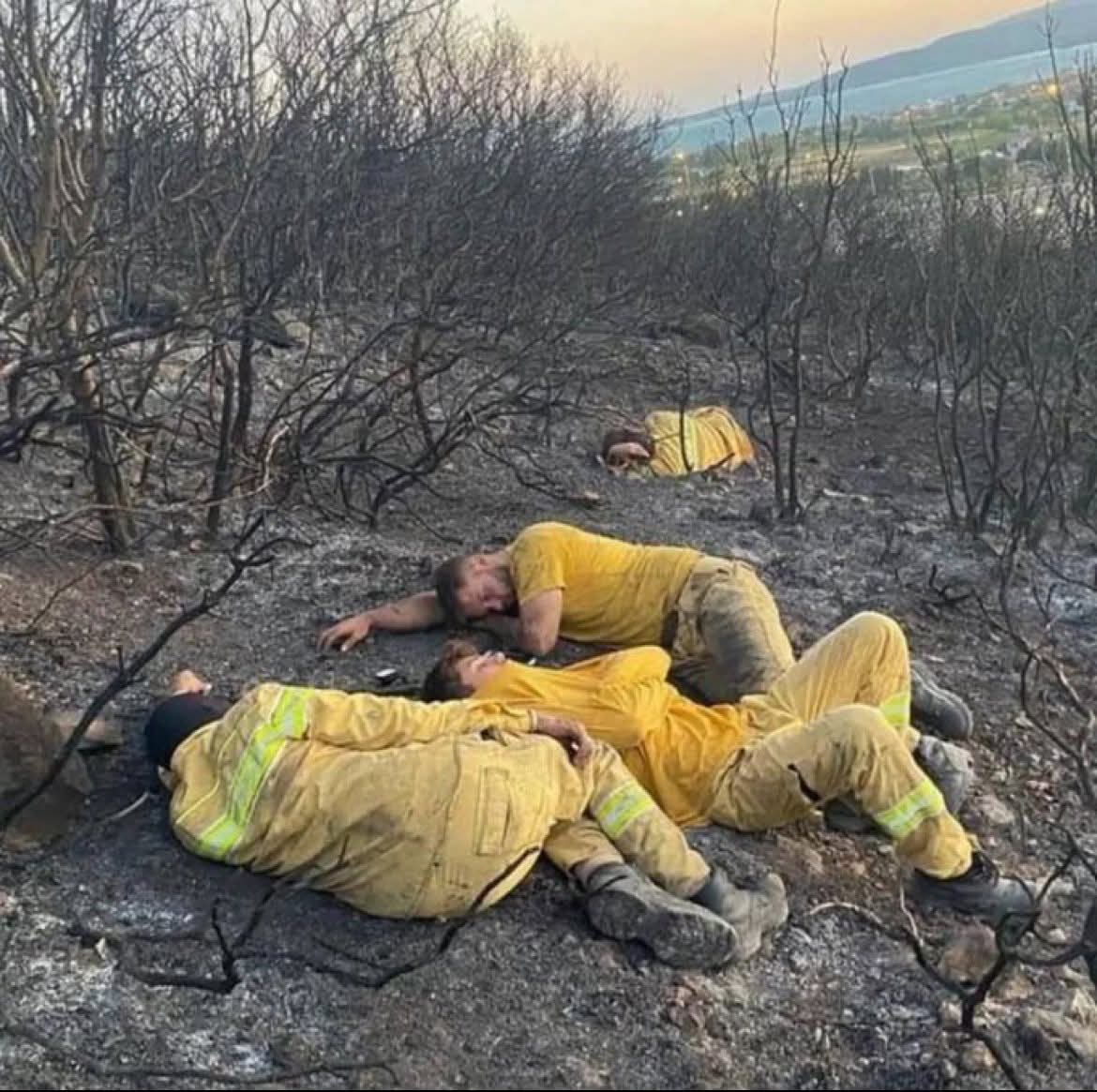 Ülkemizin dört bir yanında meydana gelen orman yangınlarının, en kısa sürede kontrol altına alınmasını temenni ediyoruz.

Yangınlara gönüllü olarak destek veren sivil toplum kuruluşlarına ve kahramanca canını hiçe sayarak mücadele eden itfaiye ekiplerine şükranlarımızı sunuyoruz