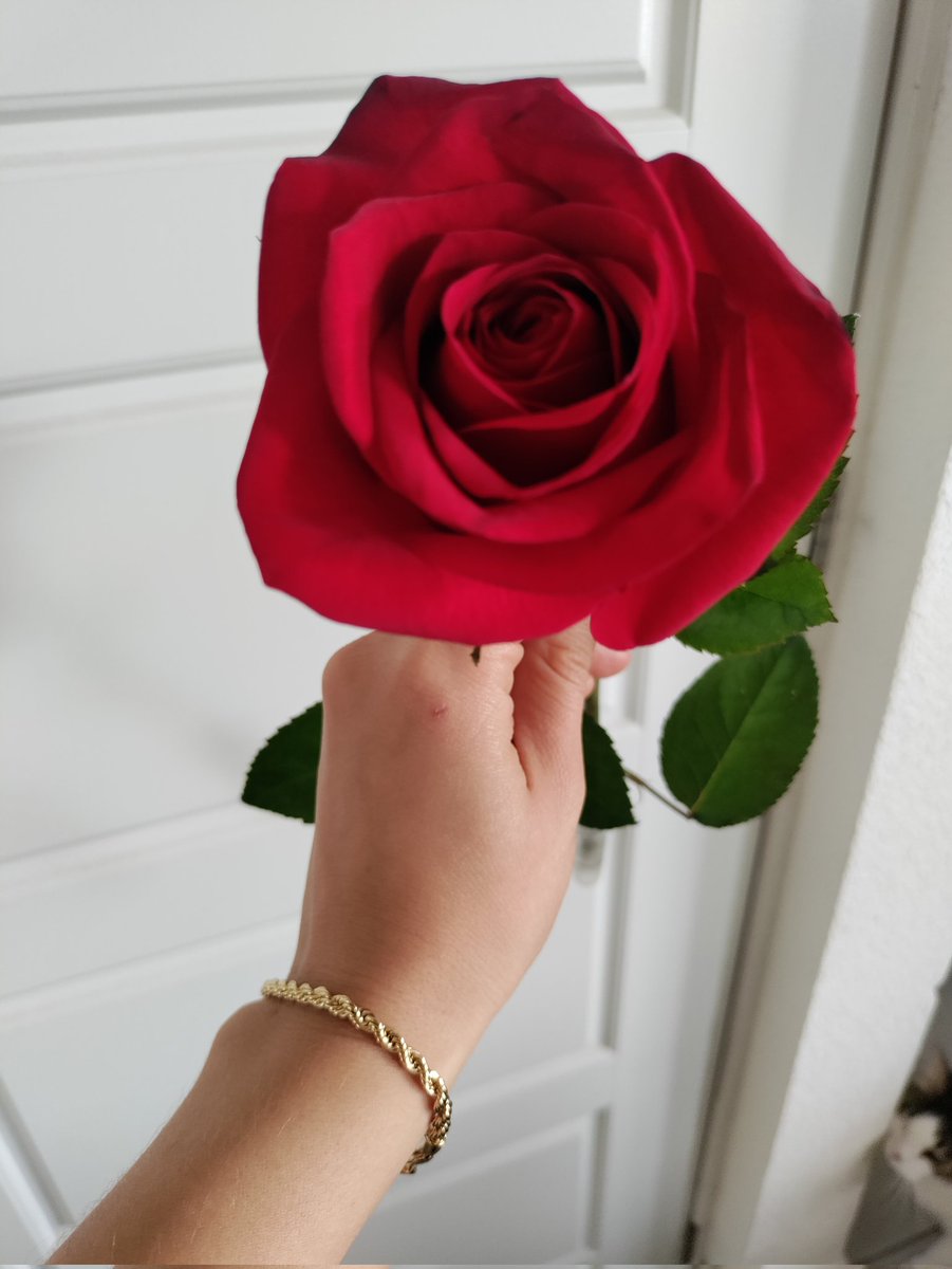 adi8a's tweet image. 😊