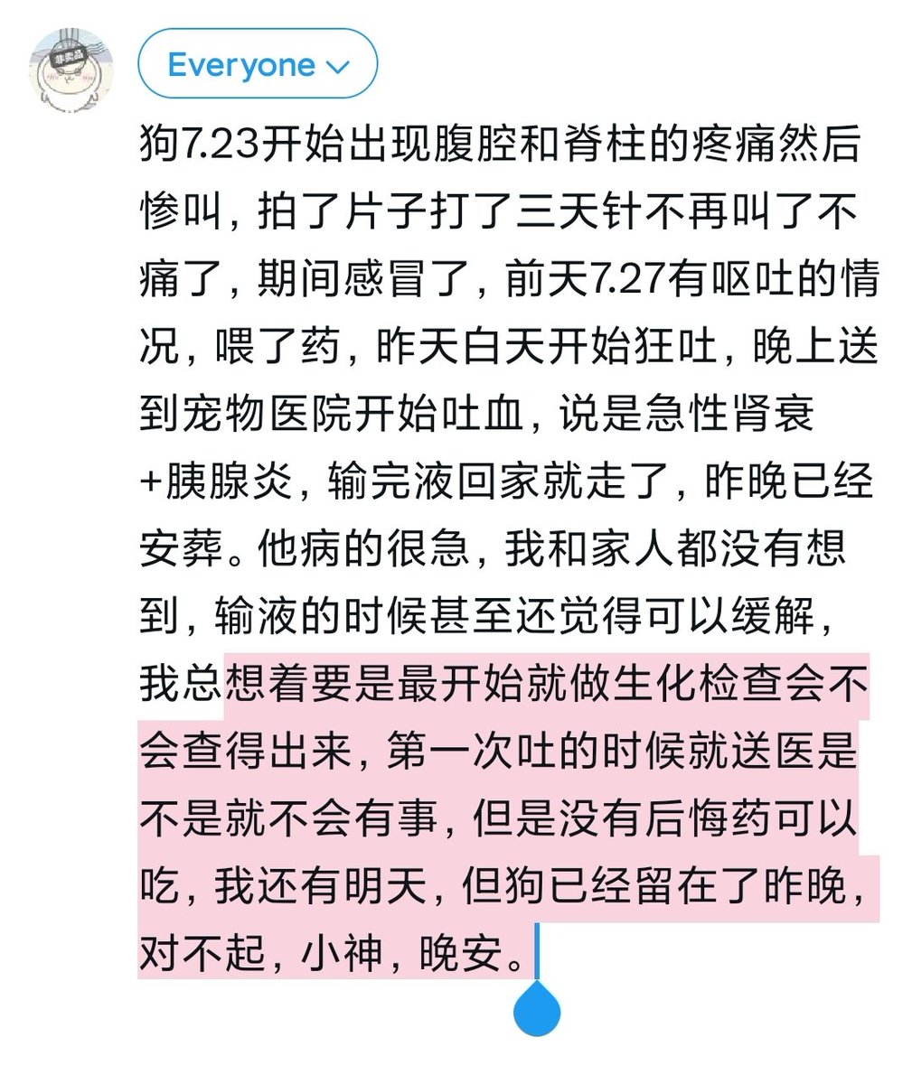 kimo (@kimo777ccc) on Twitter photo 我必须相信有死后的世界,爷爷去那里找爸爸妈妈,狗去那里晒太阳,最后我们也将在那里再次团聚。 我必须相信有死后的世界,爷爷去那里找爸爸妈妈,狗去那里晒太阳,最后我们也将在那里再次团聚。