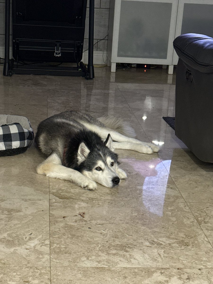 Old man was getting better with his med’s. Took him for his checkup today to find out he has prostate cancer🫩