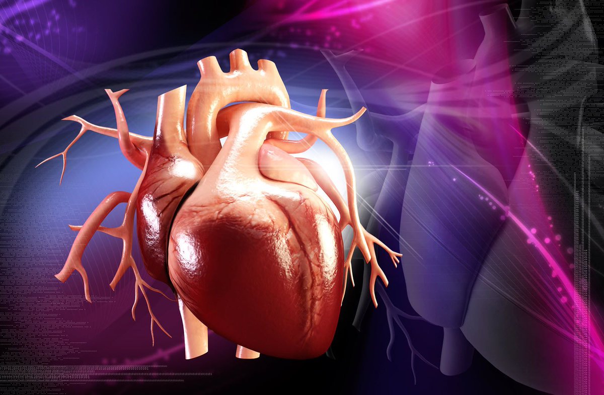 Acadoodle (@ecgteacher) on Twitter photo Cardiac Conduction: Atrioventricular Block
buff.ly/aU6BFGv
#emergencymedicine #intensivecare #respiratory #respiratorycare #icu #nurses #icunurse #ecg #ekg #cme #cmeonline Cardiac Conduction: Atrioventricular Block
buff.ly/aU6BFGv
#emergencymedicine #intensivecare #respiratory #respiratorycare #icu #nurses #icunurse #ecg #ekg #cme #cmeonline