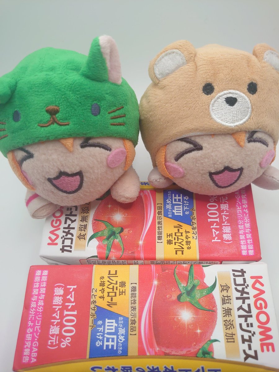 taro2201's tweet image. おはようございます🍀🌼😺🐰
今夜は久しぶりにりっぴーの配信あるし楽しみです🍅✨