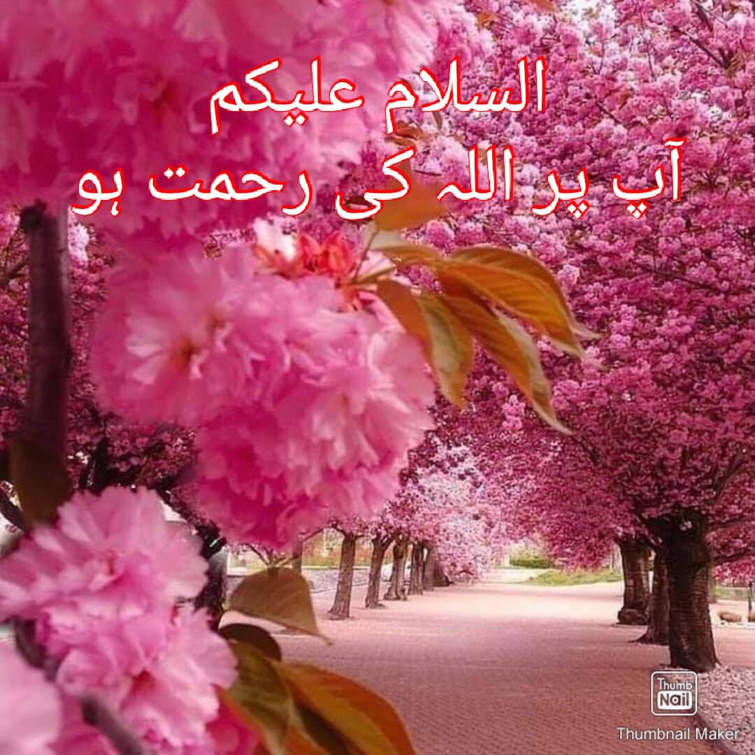 السلام و علیکم 
راستے سارے کھلے ہوتے ہیں ہم دیکھ نہیں پاتے 
کیونکہ ہم اللہ پر کامل بھروسہ ہی نہیں رکھتے جیسے رکھنا 
چاہیے کون کہتا ہے کہ دعائیں قبول نہیں ہوتی ہیں یقین
سے ایک مرتبہ مانگ کر تو دیکھو   بہت ساری دعاوں 
ساتھ    صبح بخیر