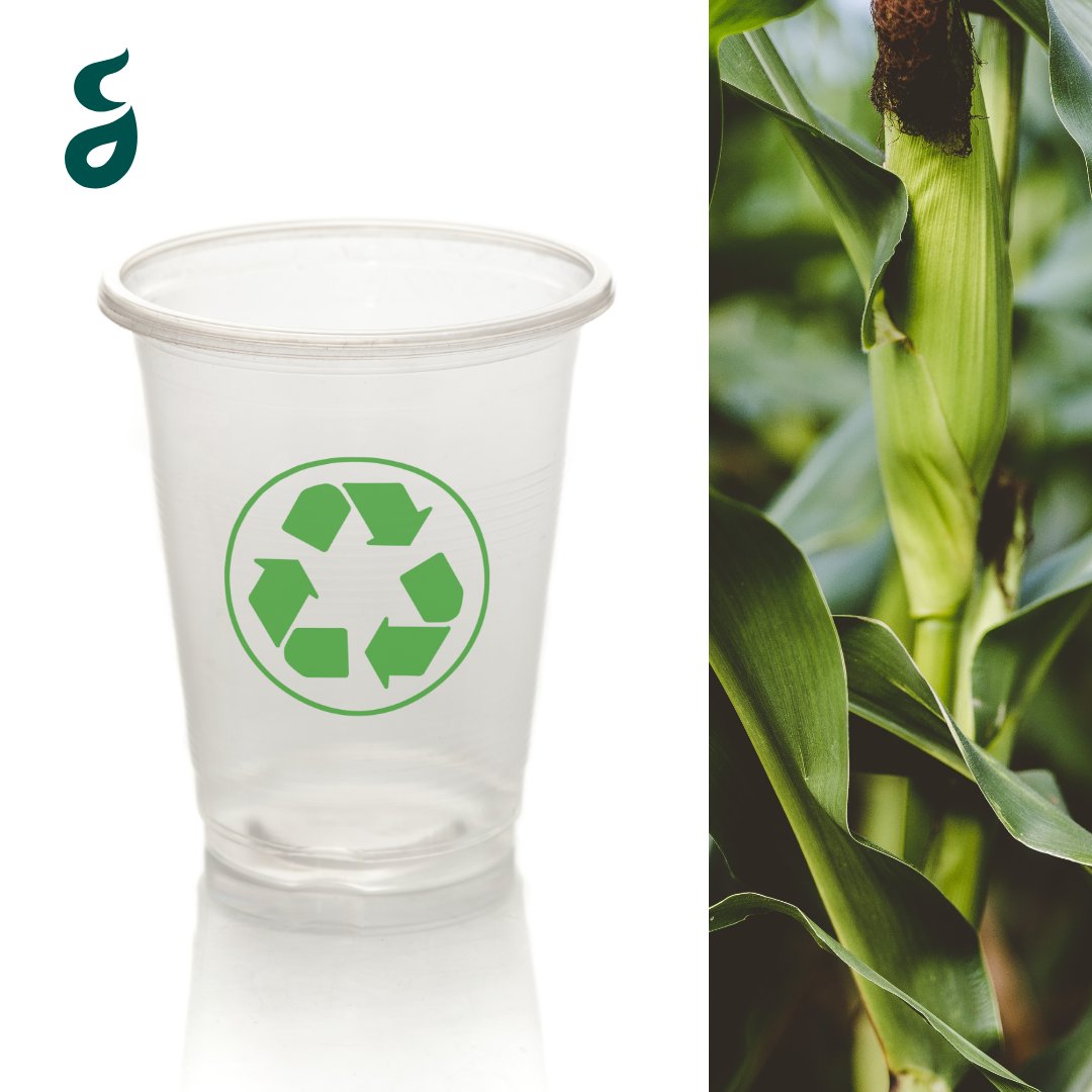 What if your plastic cup came from a cornfield instead of propane? It might be! Corn plastic has some noteworthy advantages compared to traditional plastics. It requires less energy to produce, emits fewer greenhouse gases and (depending on the product) can even break down in as
