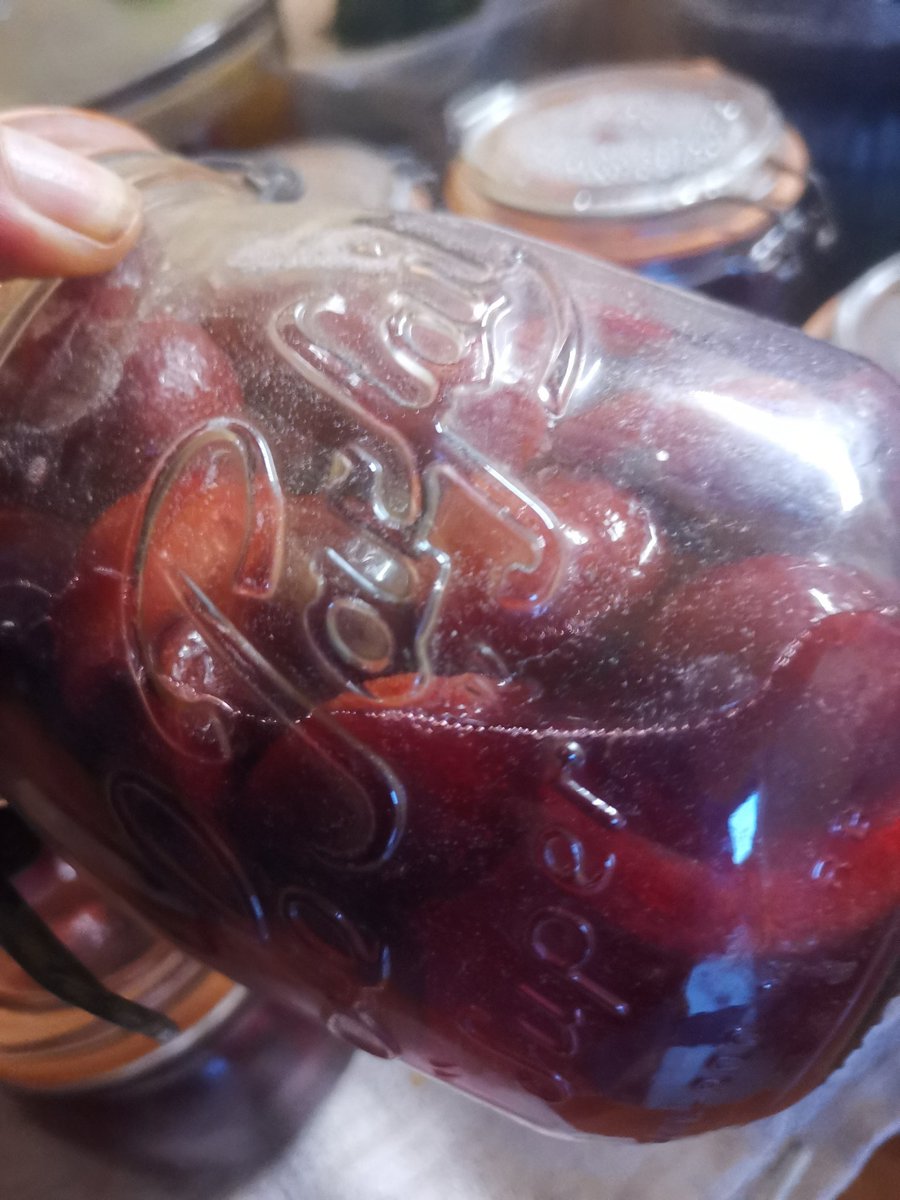 kittylt's tweet image. Bocaux stérilisé prunes au sirop