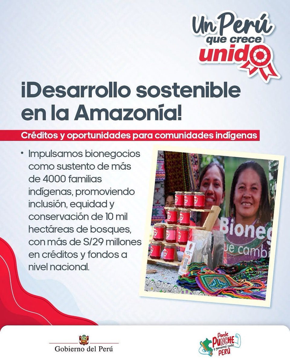 🇵🇪 #UnPerúQueCreceUnido apuesta por la #Amazonía. Fortalecemos a comunidades indígenas con créditos, equidad y bionegocios que conservan nuestros bosques. 👏👏🌱🌳