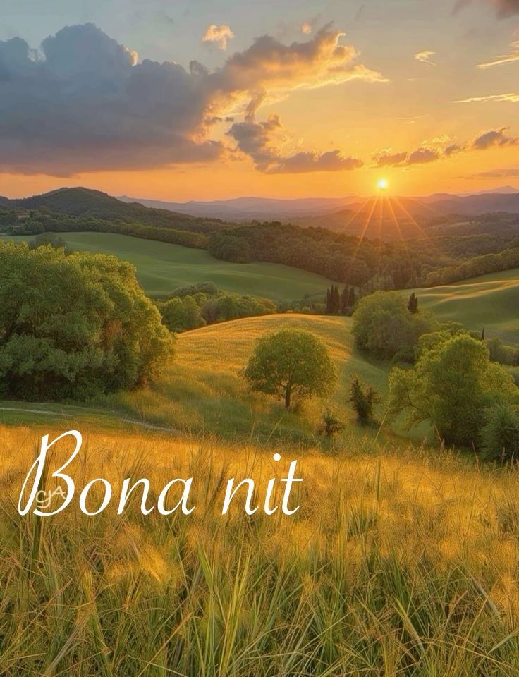 aop_org's tweet image. Bona nit amics, fins demà si Déu vol!