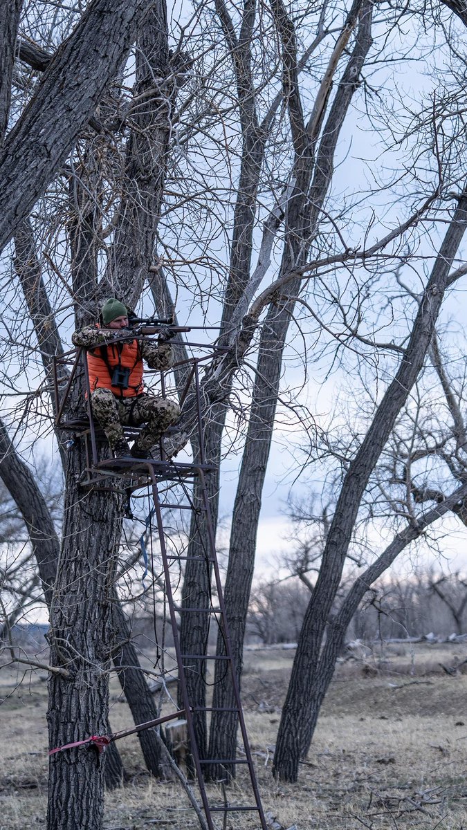 SavageArms's tweet image. POV: You in a few months

savagearms.com/firearms/model…