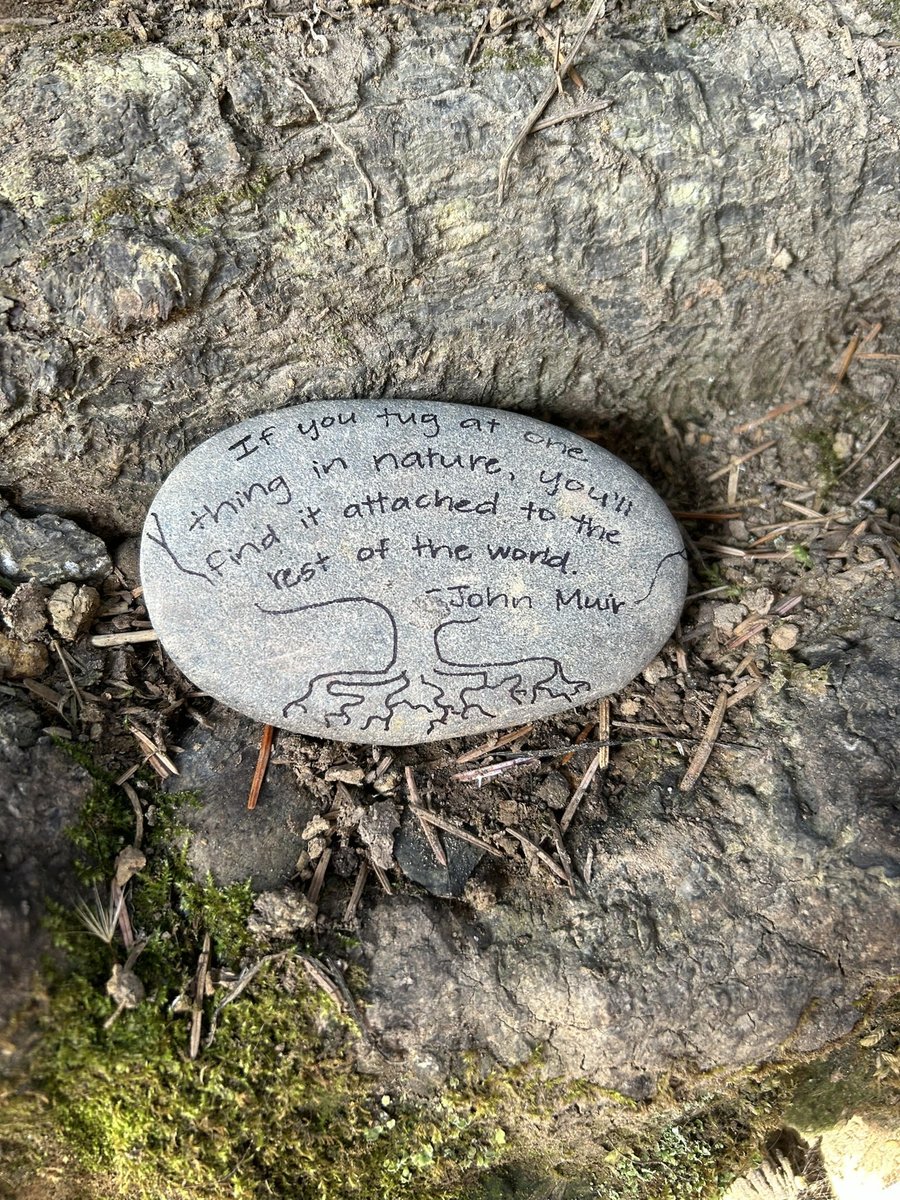 Have u seen the #TreeofLife? This magnificent tree looks like it’s levitating on Kalaloch beach, 1 of many beaches <a href="/OlympicCoast/">NOAA's Olympic Coast National Marine Sanctuary</a>. Get into your sanctuary this summer &amp; check out the Tree of Life- tag us in your beach posts + check out this photo contest sanctuaries.noaa.gov/photo-contest.…!