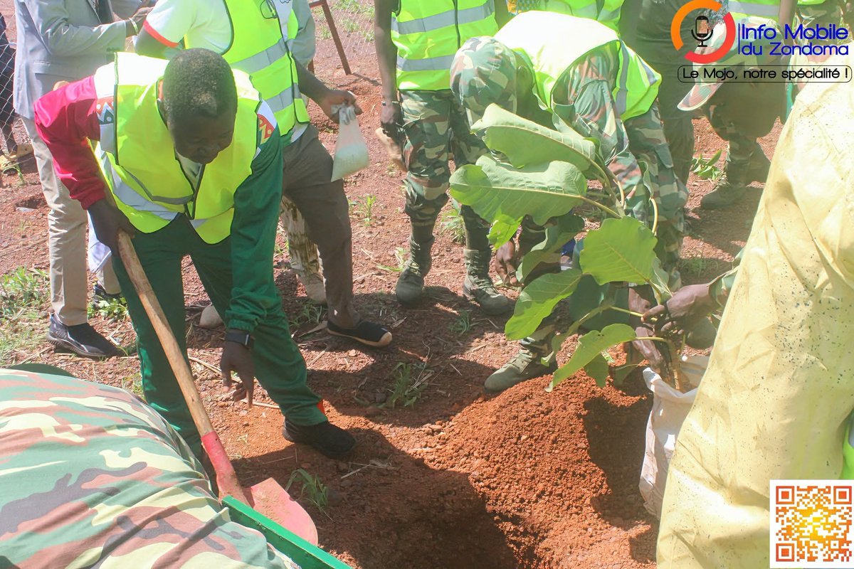 roland30417's tweet photo. 🌿🇧🇫 7e JNA dans le Zondoma : 1 000 plantes médicinales mises en terre à Bouli.
Un bosquet communautaire sur 6 ha, offert à l’UTPZ, incarne la résilience & la valorisation de la pharmacopée locale.
#JNA2025 #Reboisement #MédecineTraditionnelle #Zondoma #UTPZ #Gourcy https://t.co/D7KZH1N3U2