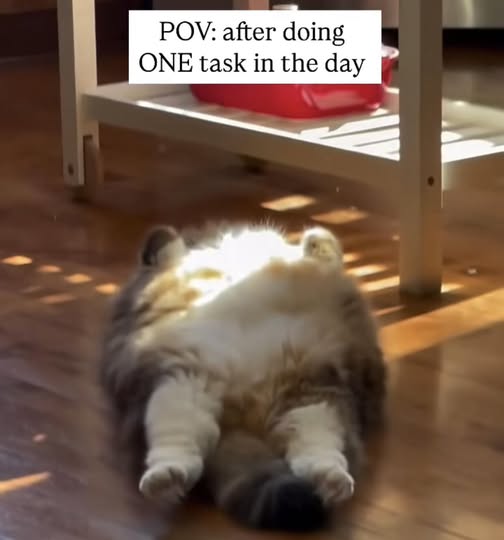 Igetstupified's tweet image. 