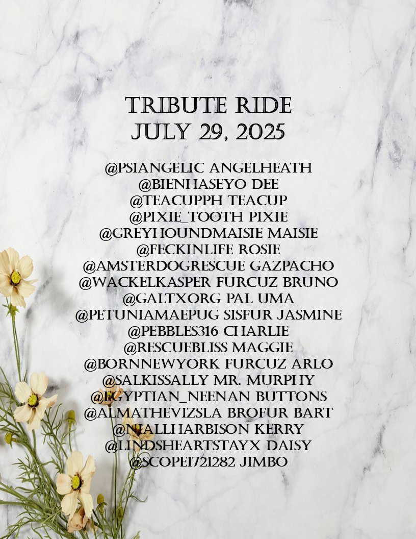 We will now ride past the Memorial Wall.  You may turn off your engine and put your paw on the wall if you would like. #TributeRide #BBOT #PA #ZSHQ #TheAviators
#TheRuffRiderz #Hedgewatch
