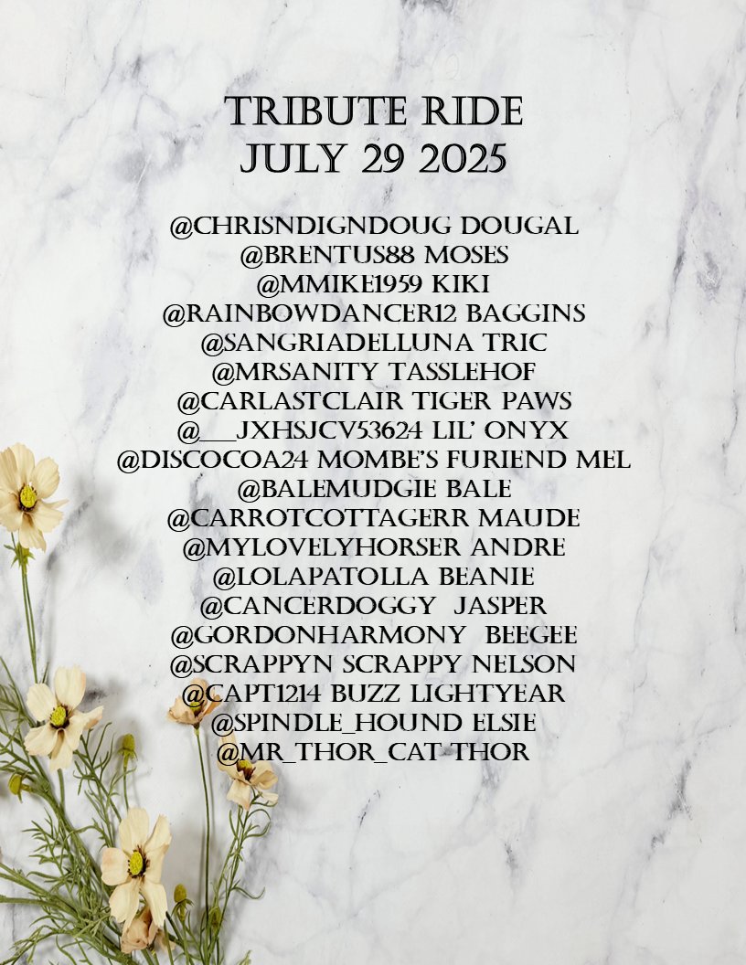 #TributeRide #BBOT #PA #ZSHQ #TheAviators
#TheRuffRiderz #Hedgewatch