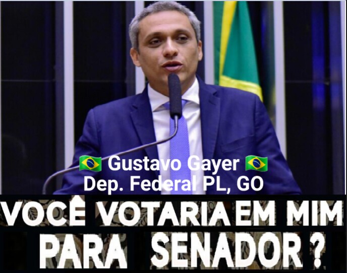 BolsoMito380's tweet image. 👍🇧🇷