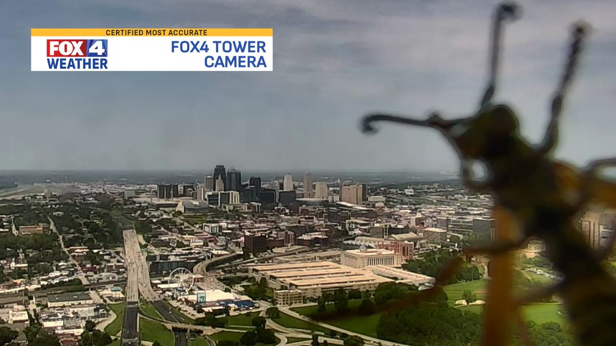 JacobLanierWx's tweet image. Invasion of the wasp today on Signal Hill...