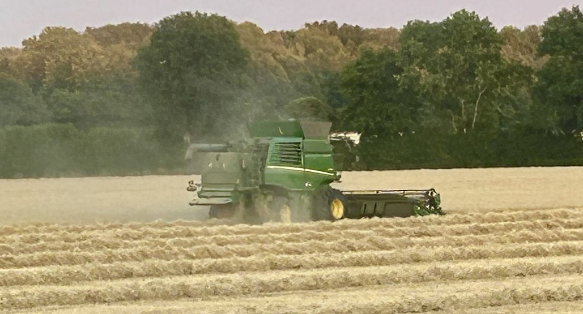 Tonight, not necessarily far from where you live, a farmer will be bringing home harvest 2025. Often their labours are treated with disdain by government and contempt by supermarkets. But they uphold an ancient tradition and, without them, the best of Britain world be lost.