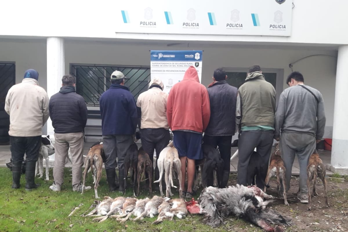 LNcampo's tweet image. “Pudo haber terminado en un asesinato”: un productor denunció el ingreso ilegal de cazadores en su campo y pide ayuda dlvr.it/TM98pf
